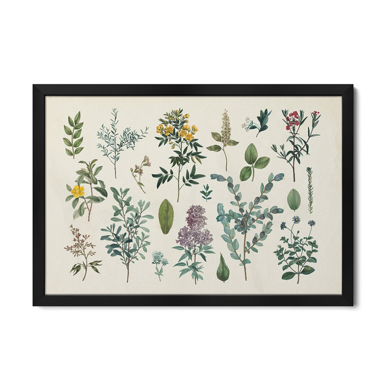 Victorian Garden IV - Wall Art Print - Gallery Gallery, H 24 po x l 32 po