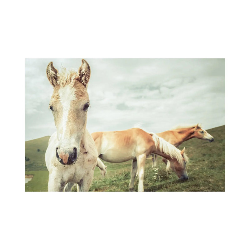 Three Buddies by Aledanda - Wrapped Canvas Painting, 30.48 cm H x 45.72 cm W