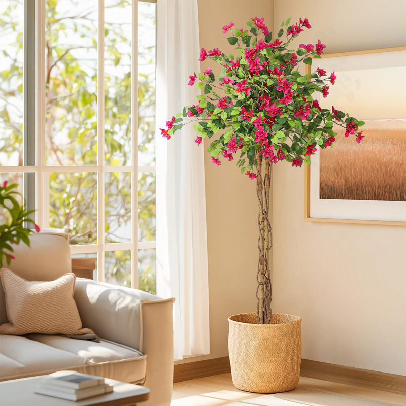 Plant, 22.5cm H x 23cm W x 100.5cm D