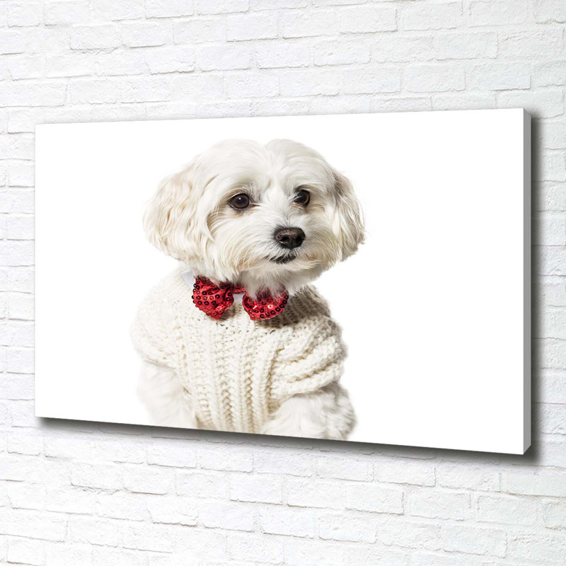 Maltese In A Bow Tie - No Frame Print on Canvas
