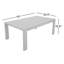 Table basse d'extérieur en métal 43 po Dulcie
