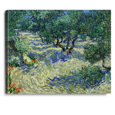 Olive Orchard by Vincent Van Gogh. The World Classic Art Reproductions, Giclee Canvas Prints Wall Art for Home Decor