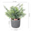 2 - Piece Artificial Plant Set