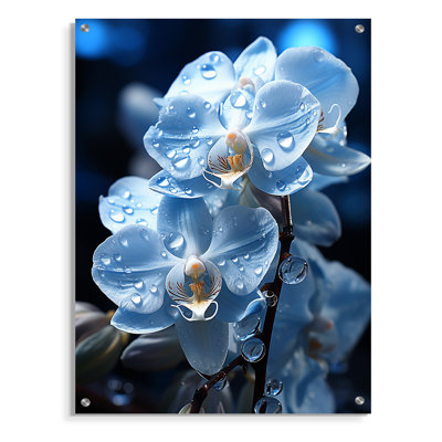 Rowden - Orchids Acrylic Wall Art Decor