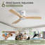 Ventilateur de plafond 3 pales Nicola-1312092803