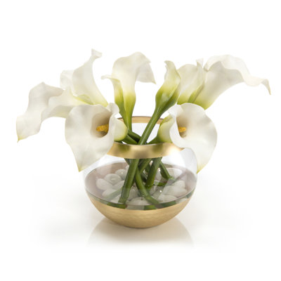 Callas en fleurs dans un pot
