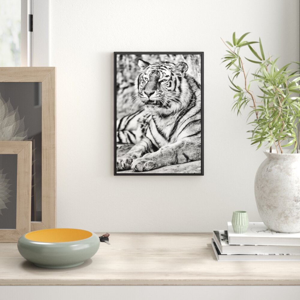 Gerahmtes Wandbild stolzer Tiger