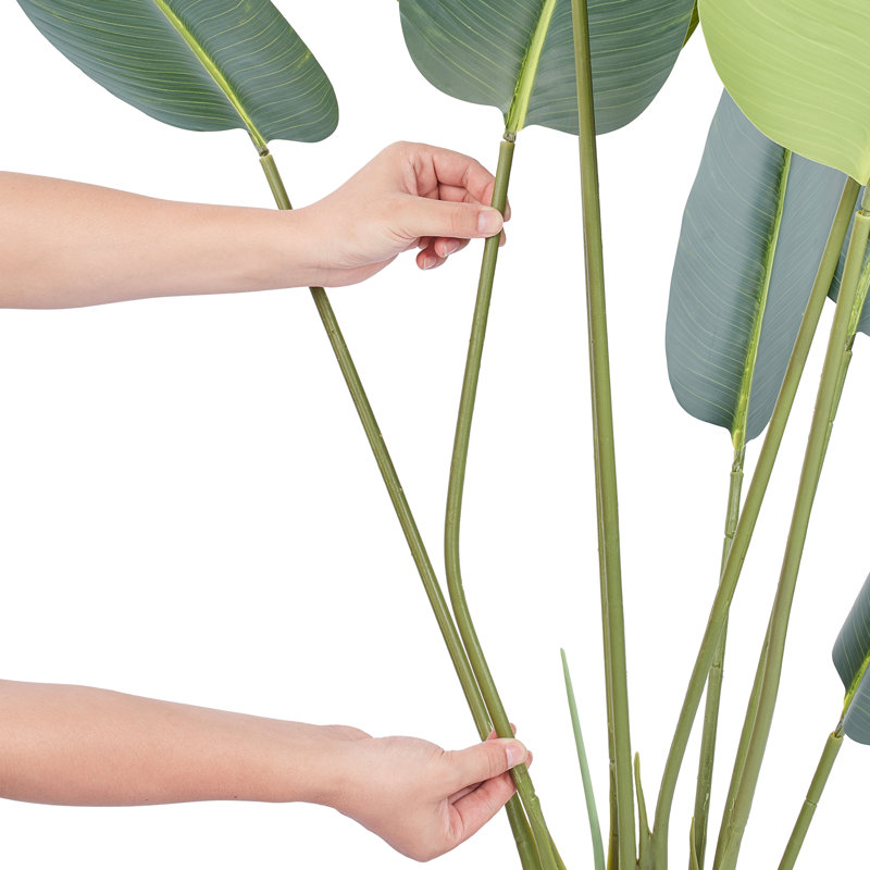 60 plantes
