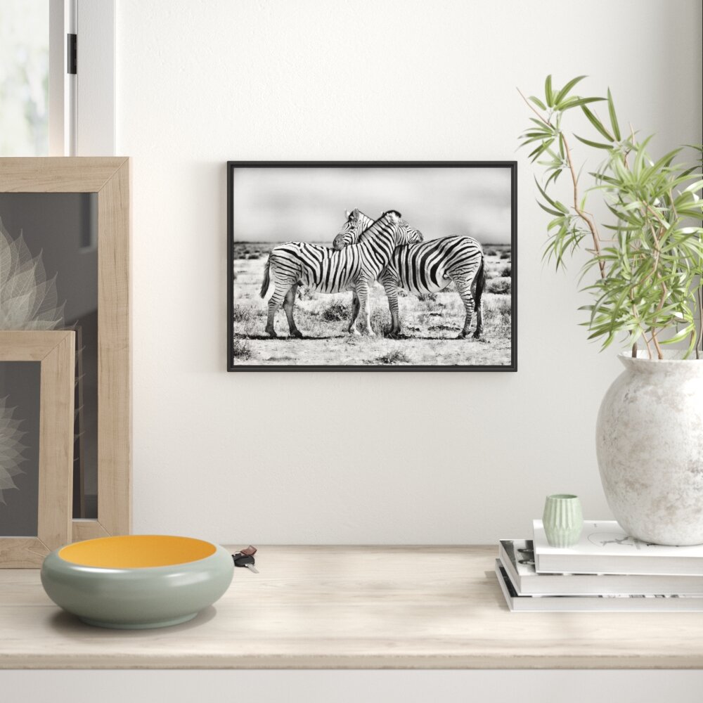 Gerahmtes Wandbild Schmusende Zebras