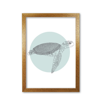 Marine Animals Turtle - Print