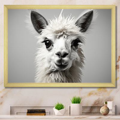 " Grey Llama Gentle Llama "