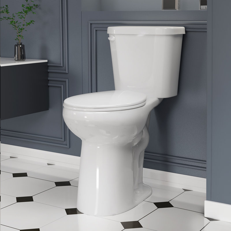 Toilette 21 po, 21 po, très grande, ronde et puissante pour salle de bain
