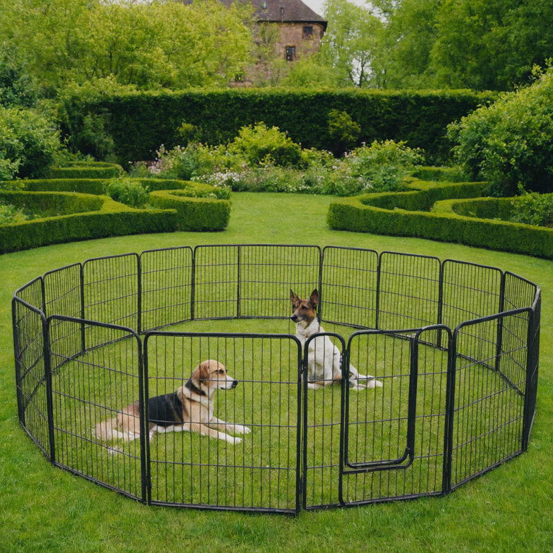 Parc pour chien