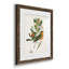 Oiseau antique, botanique et œuf I - ensemble de 2 reproductions d'art sur papier encadré-1329192739-1329192760