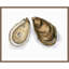 «Back Bay Catch II» par Grace Popp, reproduction d'art sur toile encadrée-112655035
