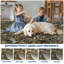 Tapis lavable à la machine Botanical Flora-761076770