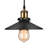 Farolt 1 - Light Black Pendant