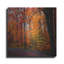 «Rainbow Fall» par Philippe Sainte-Laudy, art mural en métal, 36 po x 36 po-566464281