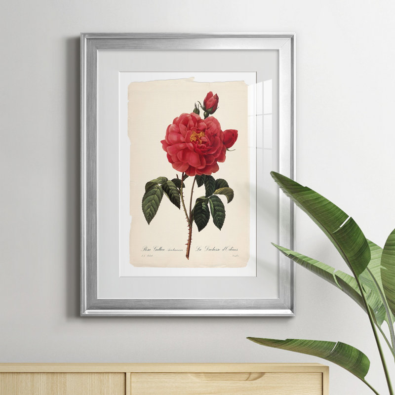 Red Botanical III - cadre photo, impression, H 18,5 po x l 24,5 po x P 1,5 po, Argent