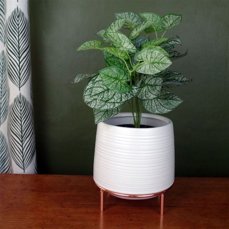 Ceramic Cachepot