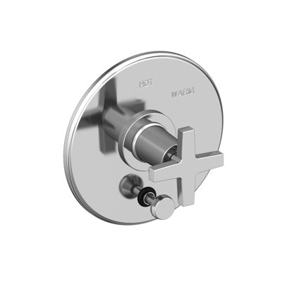 Balanced Pressure Tub & Shower Diverter Plate With Handle. Less Showerhead, Arm And Flange.
