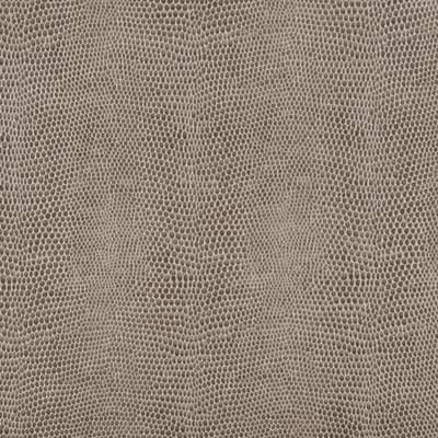 Edgewater Fabric