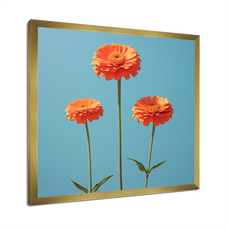 Fleurs de zinnias oranges et bleues, Cadre doré simple, H 36 po x l 36 po x P 1,5 po