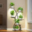 Plant Stand - Set of 8