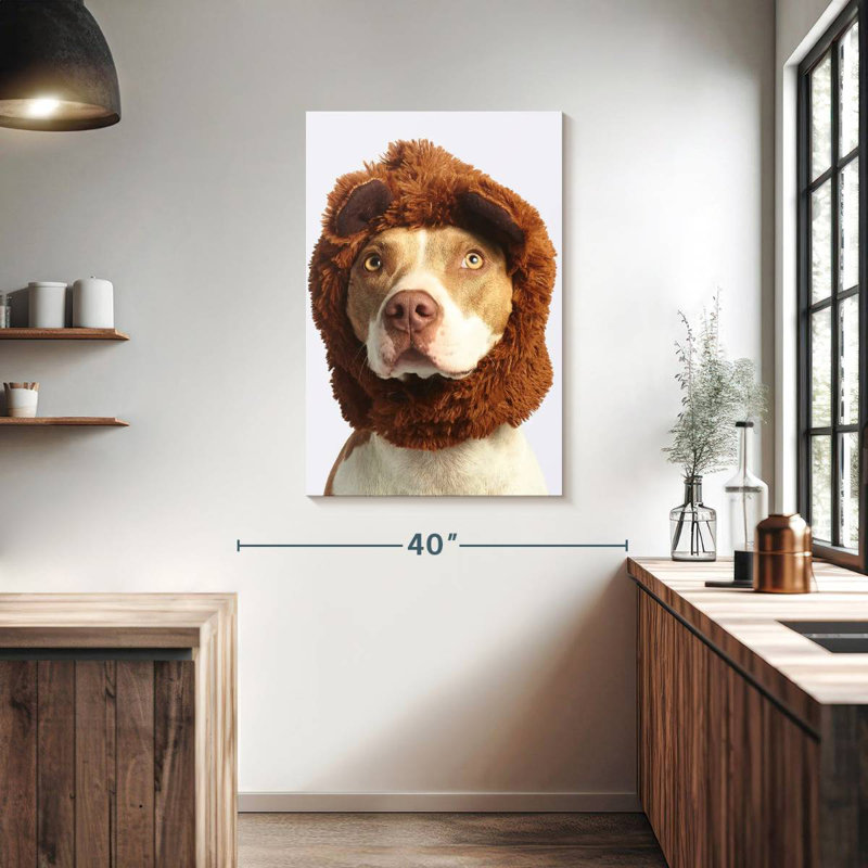 Bandeau en fourrure de chien Brampt, H 39 po x l 26 po