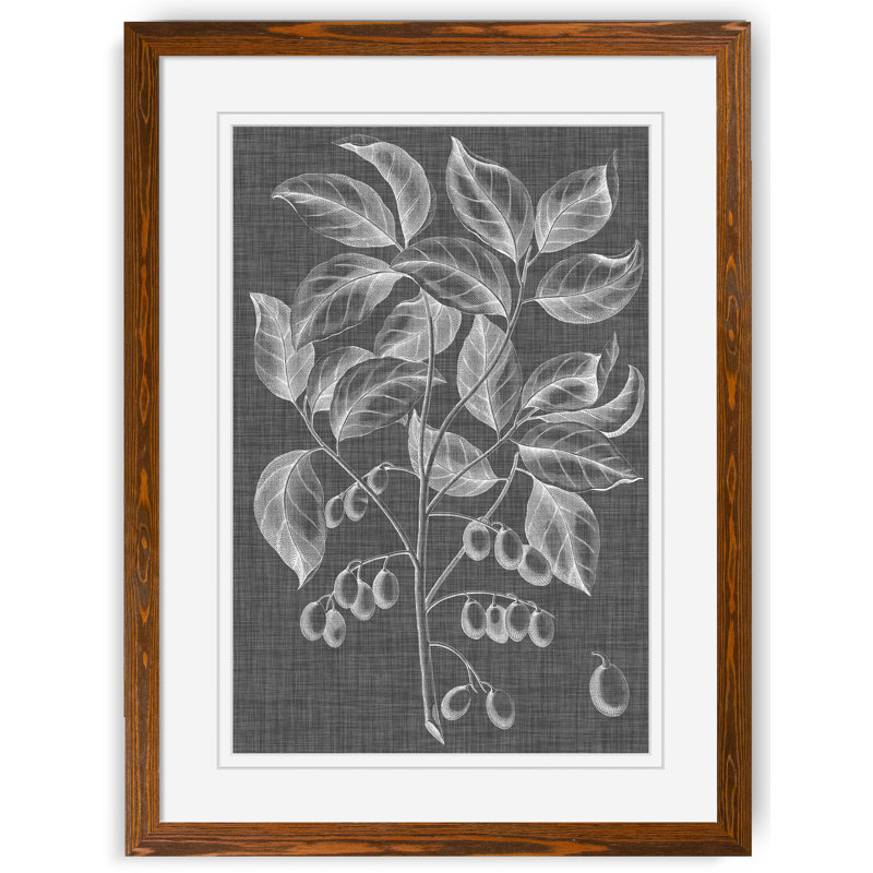 "feuillage graphique v" par paul cezanne-cadre photo, reproduction d’art, Papier encadré érable