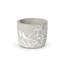 Planter-309982706