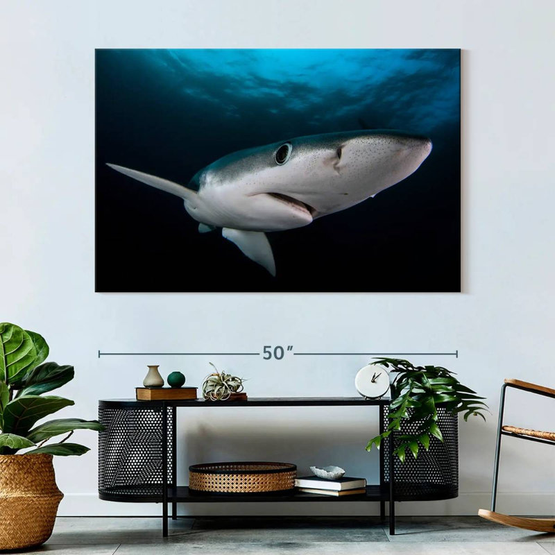 Brampt Underwater Blue Shark, 34" H x 51" W