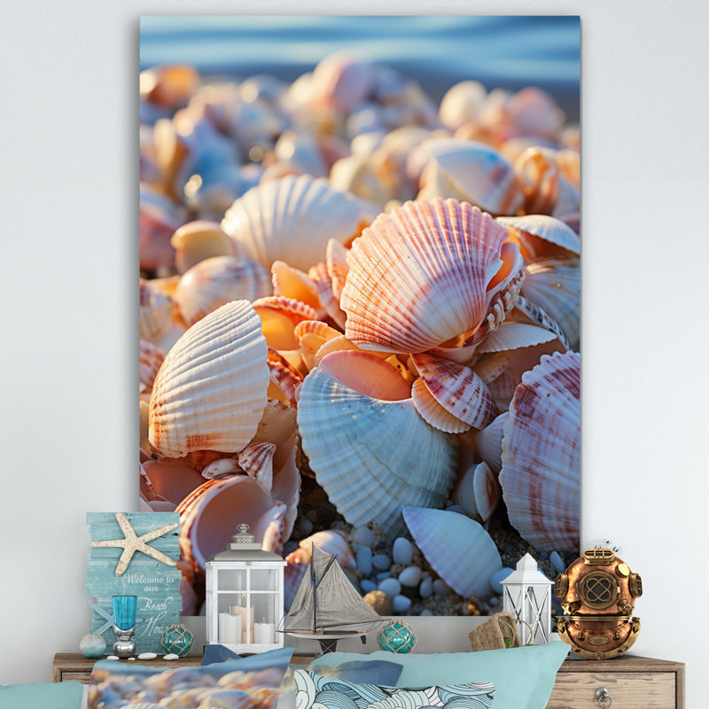 «Beach Photo Sunlit Shells I», reproduction sur toile, L 12 po x H 20 po, Toile tendue