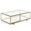 Florabella Glass Coffee Table