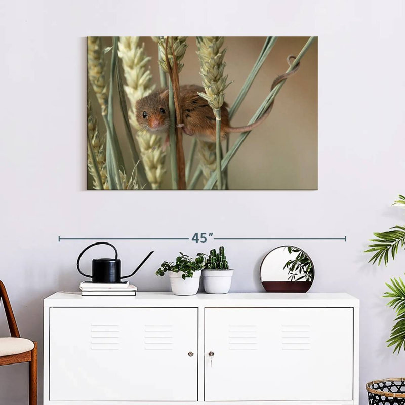 Harvest Mouse On Wheat, 24" H x 36" W