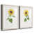 Papier encadré blanc