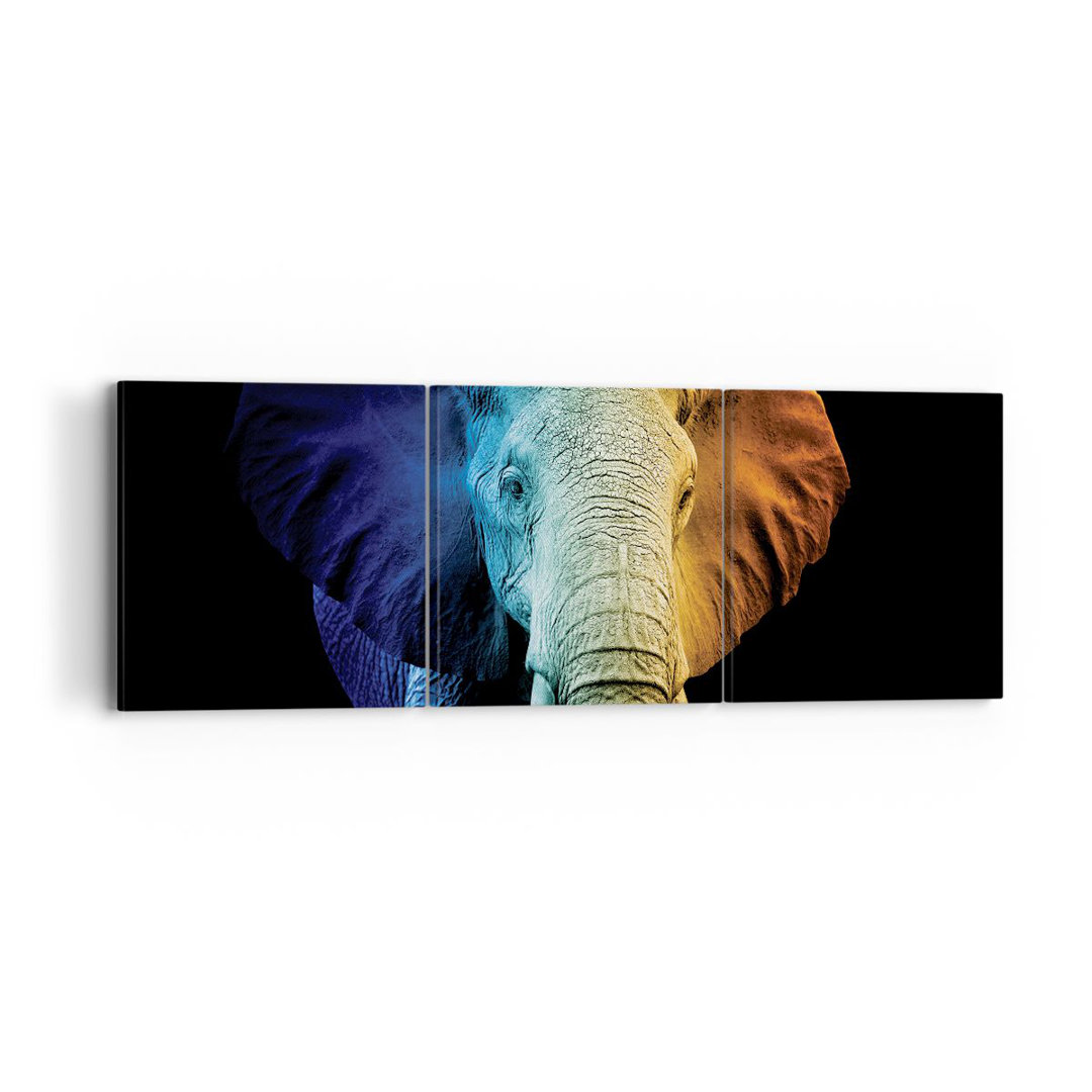 3-tlg. Leinwandbilder-Set Colorful Elephant