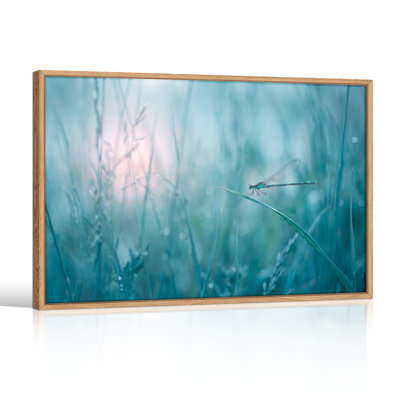 Ensemble de 1 tableau sur toile Libellule et Herbe