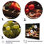 «Delectable Delights I», reproduction sur toile-1894489695-1894489670