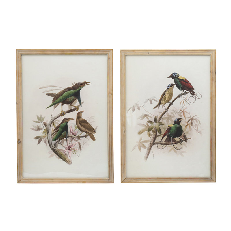 S/2 Bird Framed Print, 19.5X27.5"