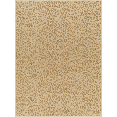 Indoor / Outdoor Rug