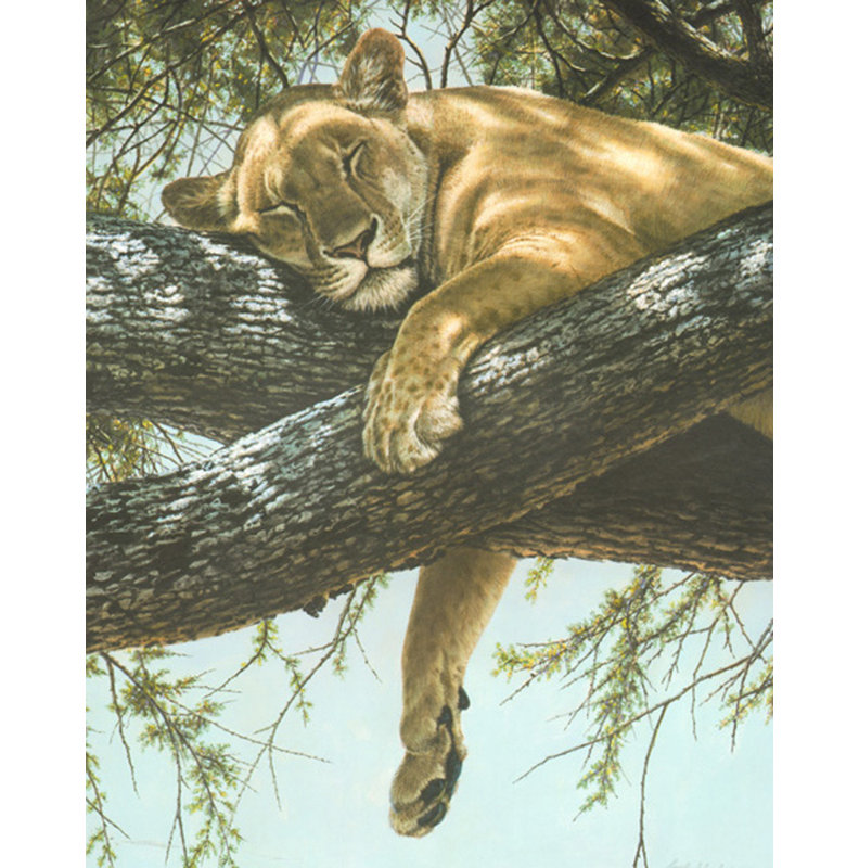 Lionne du lac Manyara MCG-PF1132, H 45 po x l 36 po