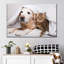 Chien et chat douillet sur toile-376574286