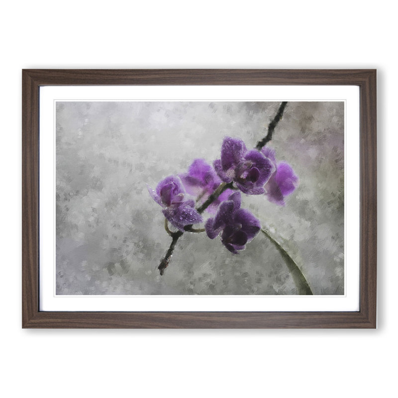 Orchid Flowers Vol.3 - Framed Print, 27cm H x 36cm W x 2cm D, Walnut Framed