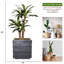 Dracaena artificiel en pot 51 po Panama-854984334