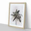 Cuban Palm Tree in Abstract - Picture Frame Graphic Art Print-55679674-55679676