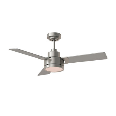 Ebie 44'' Ceiling Fan with LED Lights