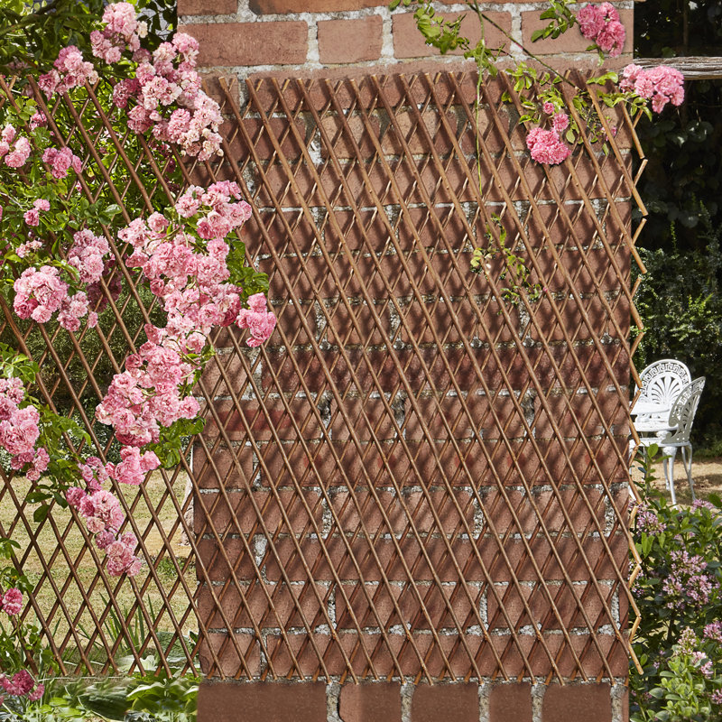 Cilla Wood Expanding Trellis - Twin Pack