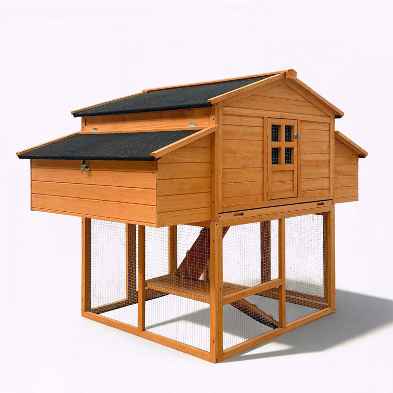 Chicken House with Two Nesting Boxes and Leakproof Tray
