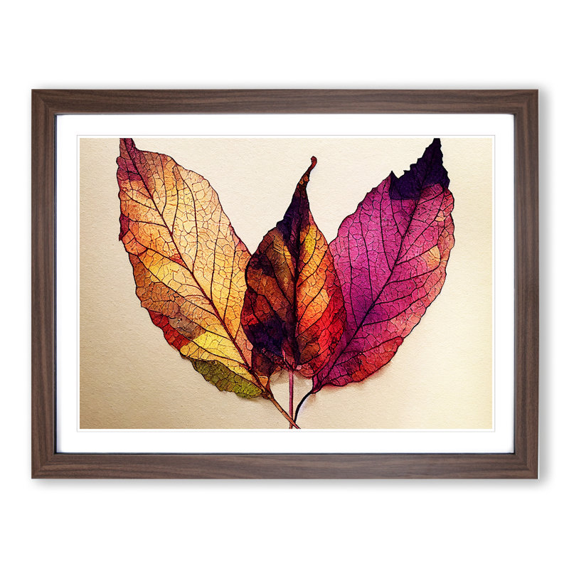 Plant Leaf Vol.2 - Framed Print, 25cm H x 34cm W x 2cm D, Walnut Framed